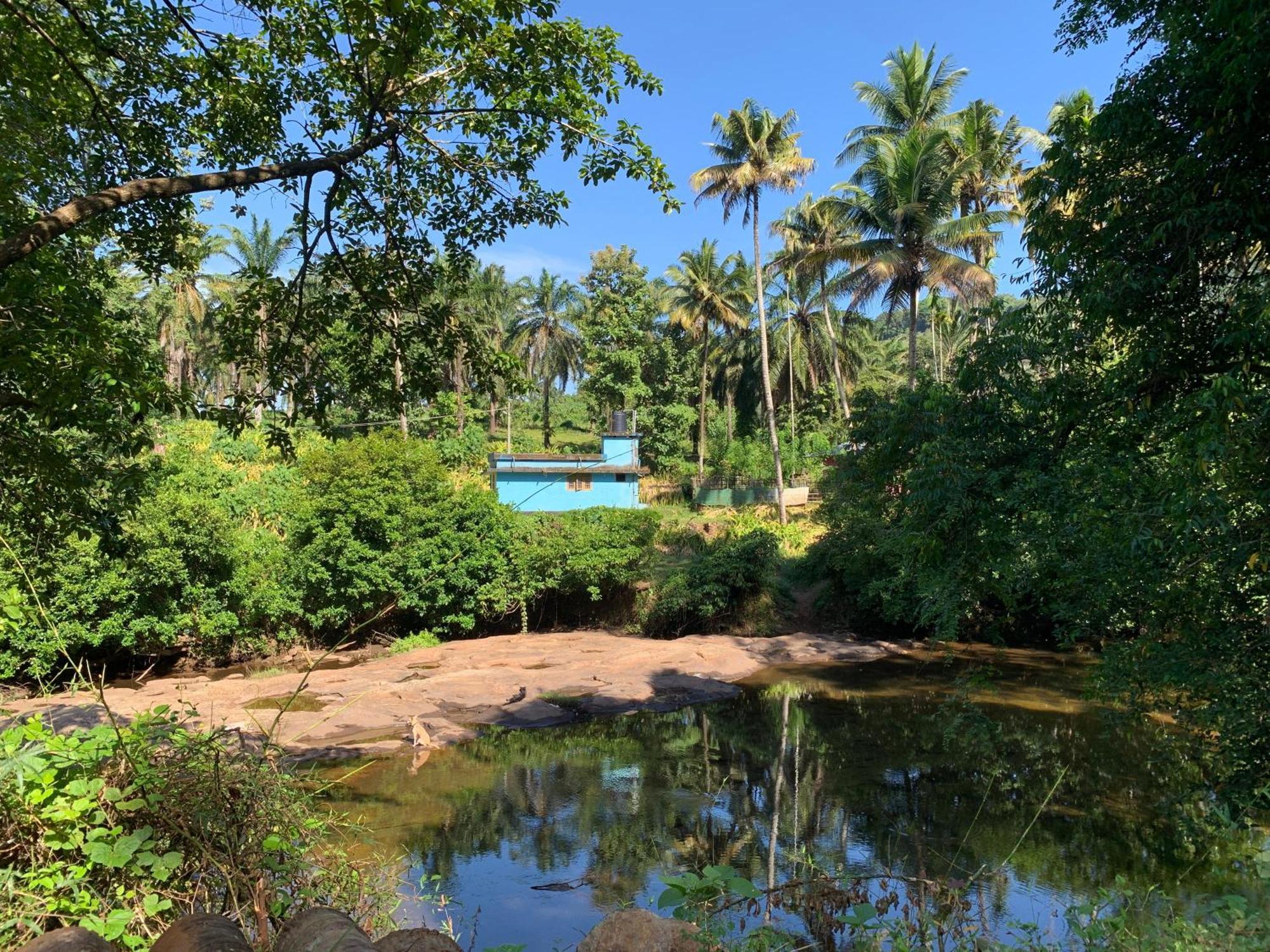 Athirapilly On The Rocks Hotel Athirappilly Exterior photo